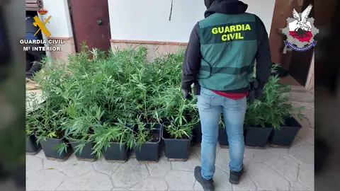 Desmantelada una importante organización polaca de narcotraficantes que operaba en Andalucía Desmantelada una importante organización polaca de narcotraficantes que operaba en Andalucía