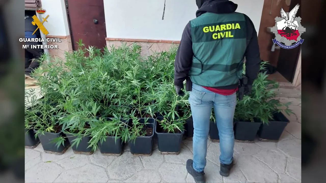Desmantelada una importante organización polaca de narcotraficantes que operaba en Andalucía Desmantelada una importante organización polaca de narcotraficantes que operaba en Andalucía
