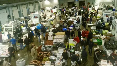 Imagen de archivo de la Lonja de El Puerto Imagen de archivo de la Lonja de El Puerto