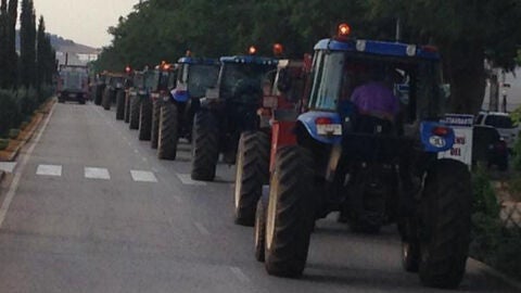 Viticultores de Valdepe&ntilde;as vuelven a convocar una tractorada de protesta