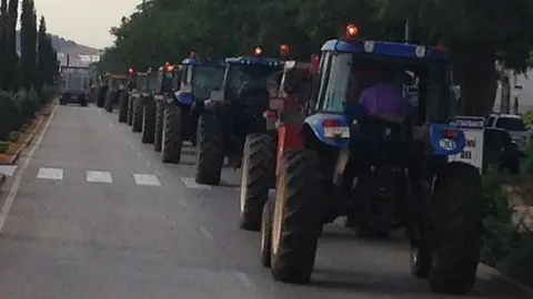 Viticultores de Valdepeñas vuelven a convocar una tractorada de protesta Viticultores de Valdepeñas vuelven a convocar una tractorada de protesta