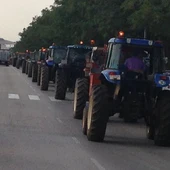 Viticultores de Valdepeñas vuelven a convocar una tractorada de protesta Viticultores de Valdepeñas vuelven a convocar una tractorada de protesta