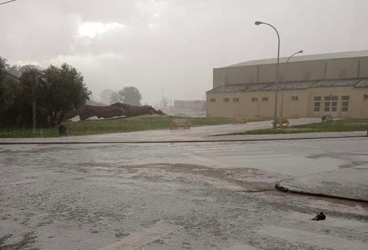 Campo de Criptana podría pedir la declaración de zona catastrófica tras los daños ocasionados por las tormentas Campo de Criptana podría pedir la declaración de zona catastrófica tras los daños ocasionados por las tormentas