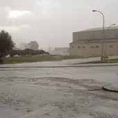 La tormenta provocó la caída del pino "Vicentillo" de Arenas de San Gregorio La tormenta provocó la caída del pino "Vicentillo" de Arenas de San Gregorio