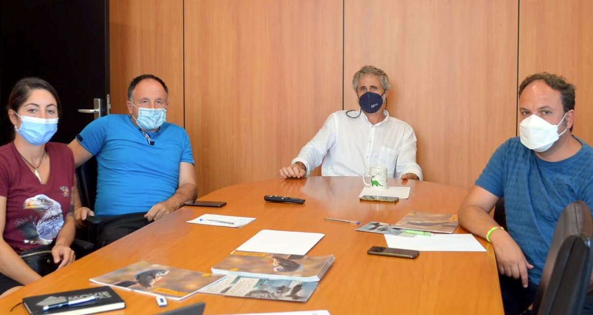 Llanes aborda el proyecto de reintroducción del Pigargo en el litoral cantábrico Llanes aborda el proyecto de reintroducción del Pigargo en el litoral cantábrico