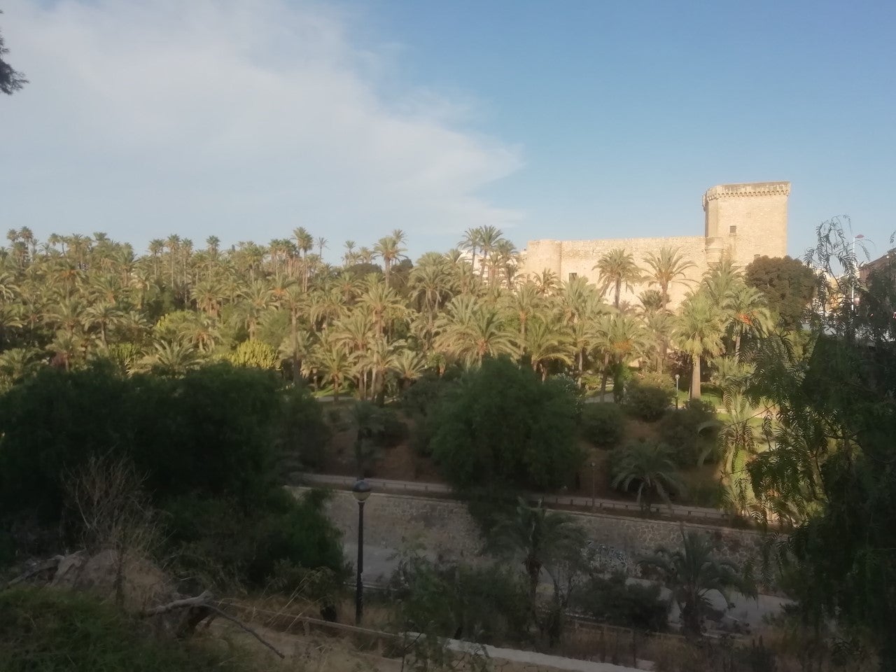 Les Corts debaten la nueva Ley de Protección y Promoción del Palmeral que blinda el carácter agrícola de los huertos Les Corts debaten la nueva Ley de Protección y Promoción del Palmeral que blinda el carácter agrícola de los huertos