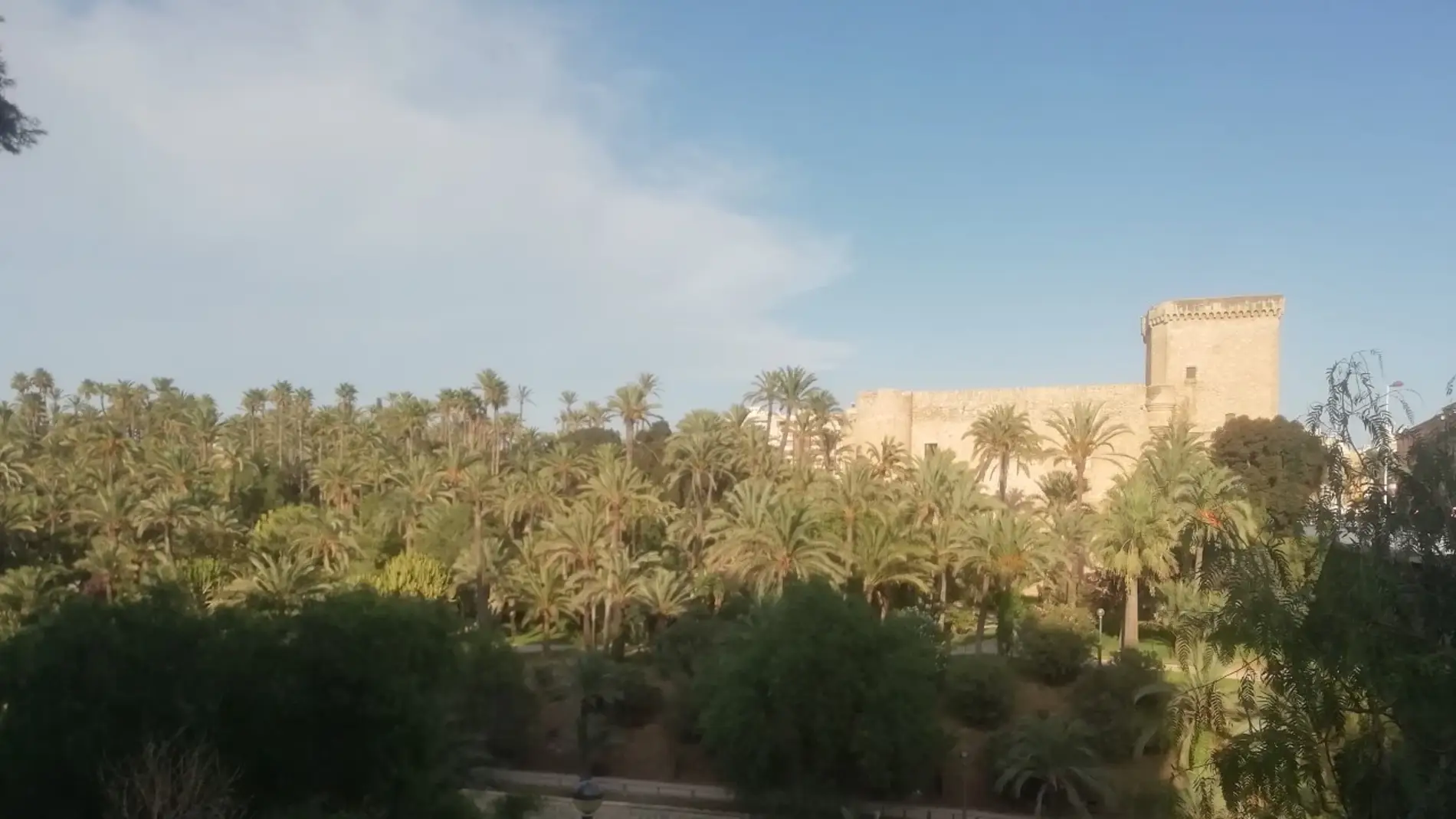 Vista del Palmeral y el Palacio de Altamira de Elche.