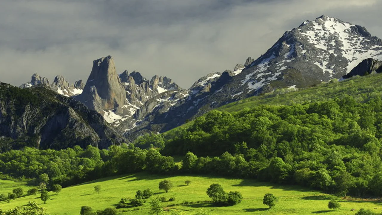 Picos de Europa (Asturias)