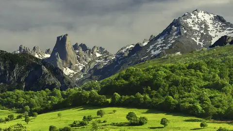 Picos de Europa (Asturias) Picos de Europa (Asturias)