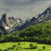 Picos de Europa (Asturias)