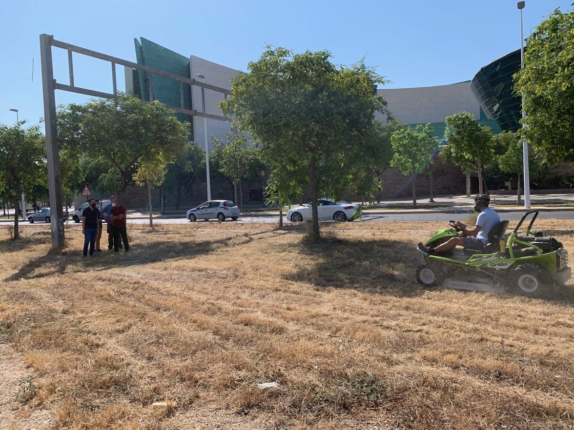 El Ayuntamiento de Elche compra una desbrozadora con capacidad para triturar también restos de poda de palmeras El Ayuntamiento de Elche compra una desbrozadora con capacidad para triturar también restos de poda de palmeras