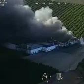 Aparatoso Incendio en la Central Hortofrutícola "El Escobar" de Mérida sin daños personales Aparatoso Incendio en la Central Hortofrutícola "El Escobar" de Mérida sin daños personales