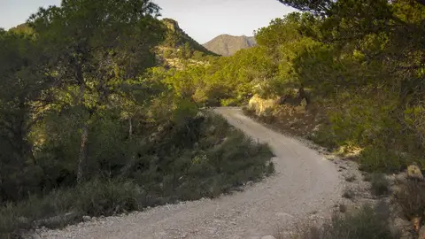 Ruta PR CV-437 Senderismo