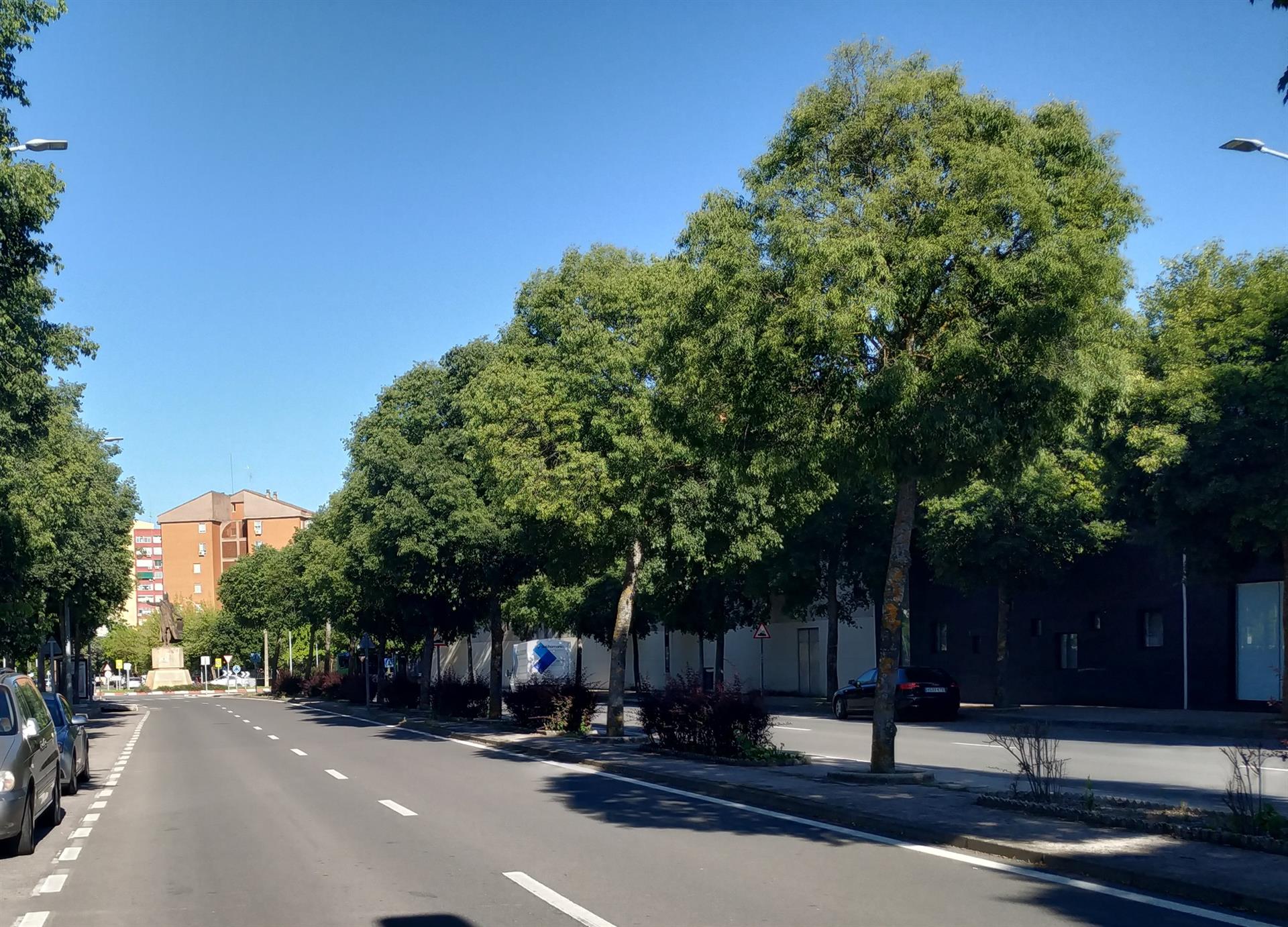 La ordenanza del Árbol de Cáceres, que recoge multas de hasta 3.000 euros, entra en vigor en quince días La ordenanza del Árbol de Cáceres, que recoge multas de hasta 3.000 euros, entra en vigor en quince días