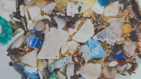 Microplásticos Microplásticos