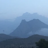 Puig Campana Puig Campana