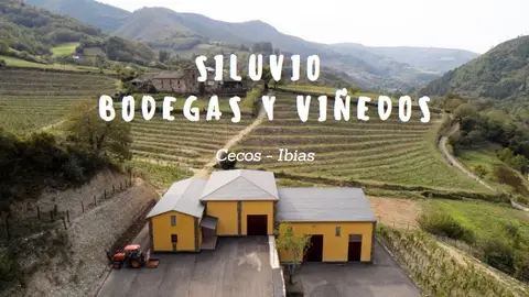 Bodega y viñedos de Siluvio, en Ibias Bodega y viñedos de Siluvio, en Ibias