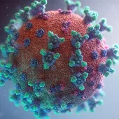 Coronavirus Coronavirus