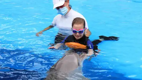 Delfinoterapia Mundo Mar Delfines