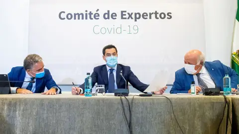 comité expertos andalucía comité expertos andalucía
