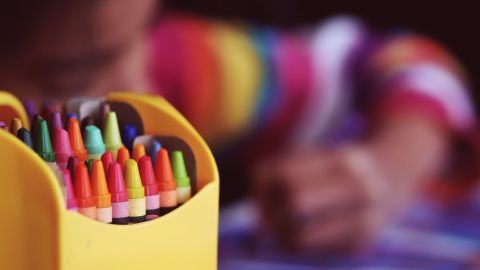 Curso Escolar