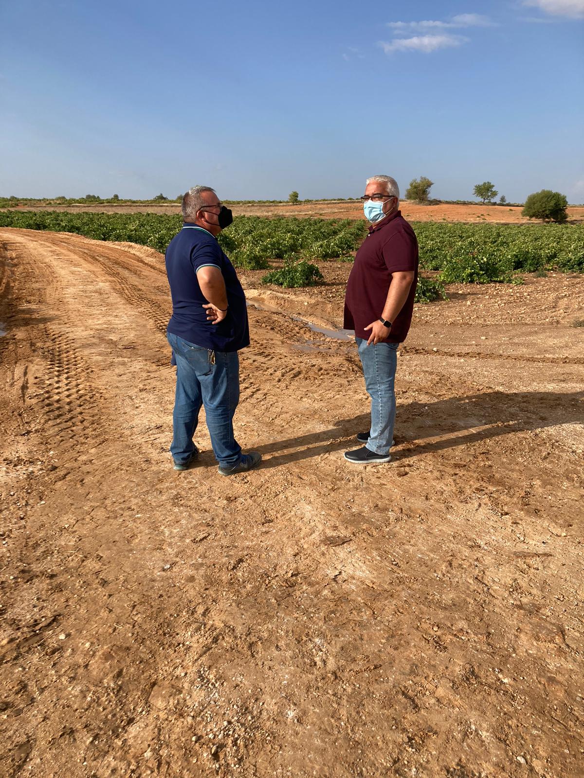 Comienzan los trabajos de arreglo de diferentes caminos de Pedro Muñoz Comienzan los trabajos de arreglo de diferentes caminos de Pedro Muñoz