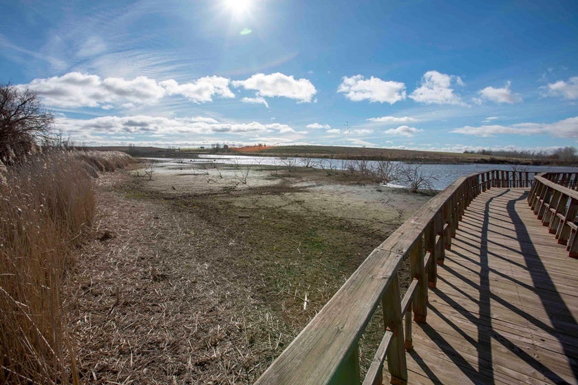 La empresa de guías suspende las visitas a Las Tablas de Daimiel por su mal estado La empresa de guías suspende las visitas a Las Tablas de Daimiel por su mal estado