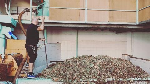 Un vendimiador en Rota