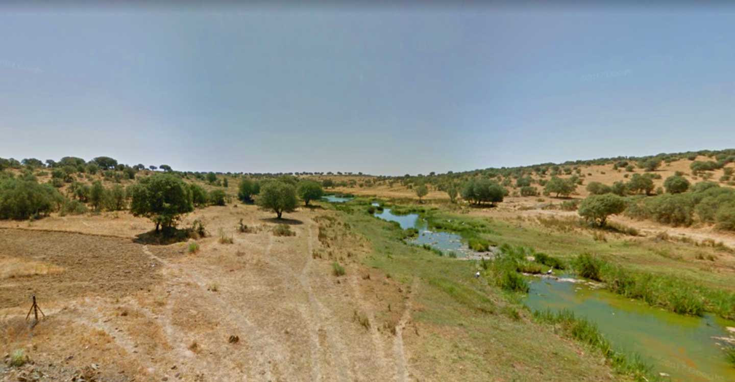 Presentan un proyecto pionero en CLM para renaturalizar el río Tirteafuera en Argamasilla de Calatrava Presentan un proyecto pionero en CLM para renaturalizar el río Tirteafuera en Argamasilla de Calatrava