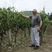 A Xunta avalia os daños do pedrazo no Ribeiro A Xunta avalia os daños do pedrazo no Ribeiro