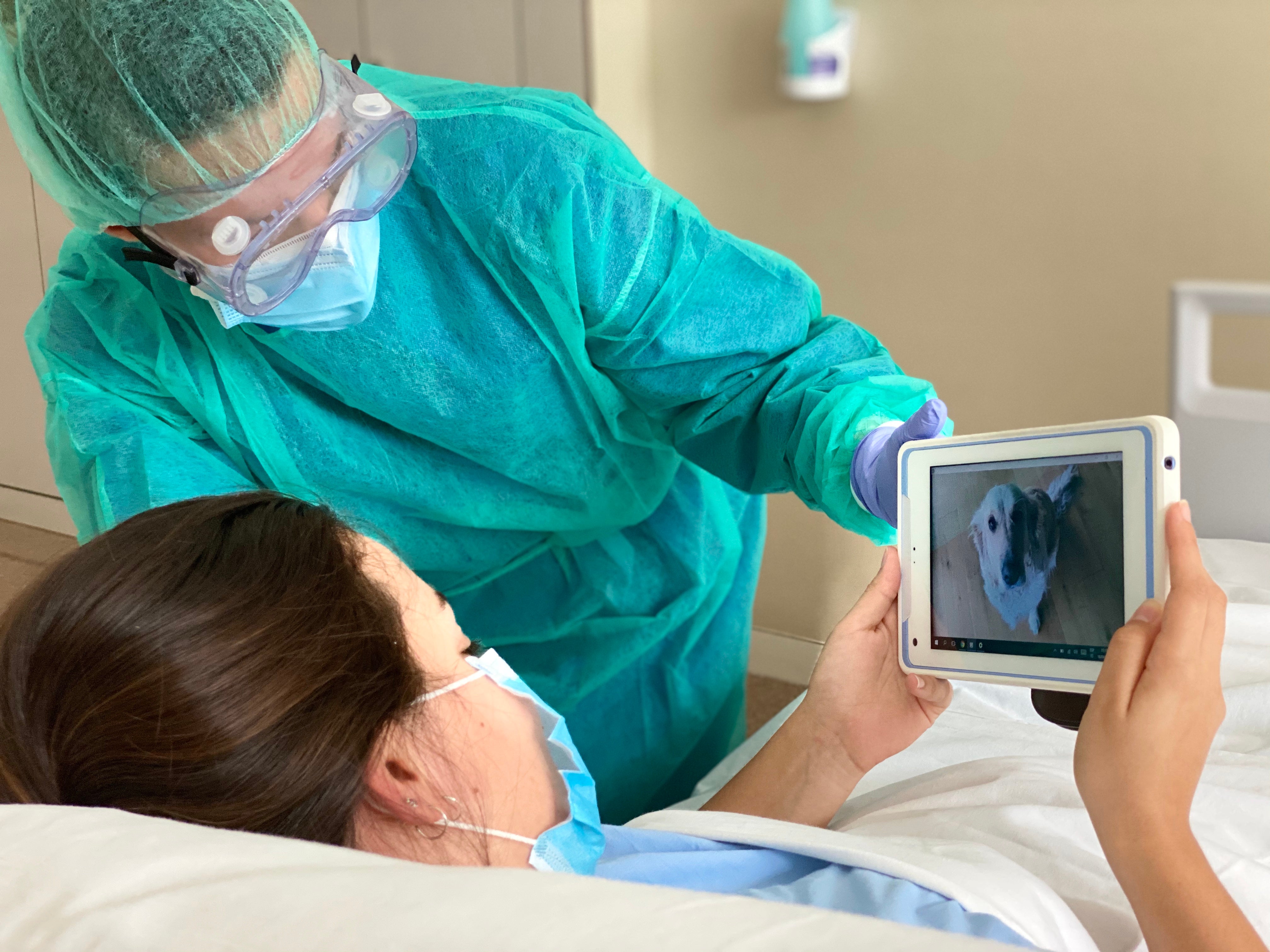 El grupo Ribera se adhiere a la estrategia “One Health” para impulsar “una visión global de la salud en todo el mundo” El grupo Ribera se adhiere a la estrategia “One Health” para impulsar “una visión global de la salud en todo el mundo”