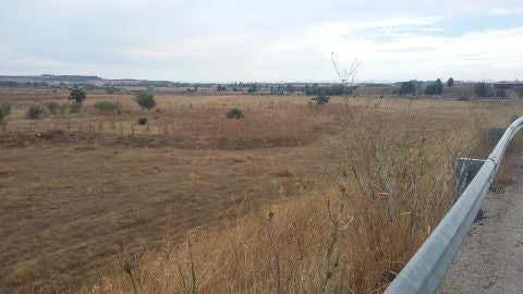 Terrenos donde se construirá el Polígono Industrial de SEPES Terrenos donde se construirá el Polígono Industrial de SEPES