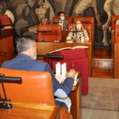 Pleno de la Diputación de Ciudad Real