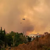Más de mil personas desalojadas por el incendio de Sierra Bermeja, Málaga Más de mil personas desalojadas por el incendio de Sierra Bermeja, Málaga