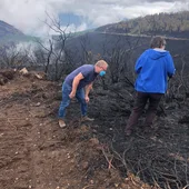 Técnicos forestales avalían as zonas afectadas polos incendios en Ribas de Sil Técnicos forestales avalían as zonas afectadas polos incendios en Ribas de Sil