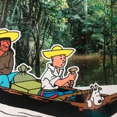 Libros de Tintin Libros de Tintin