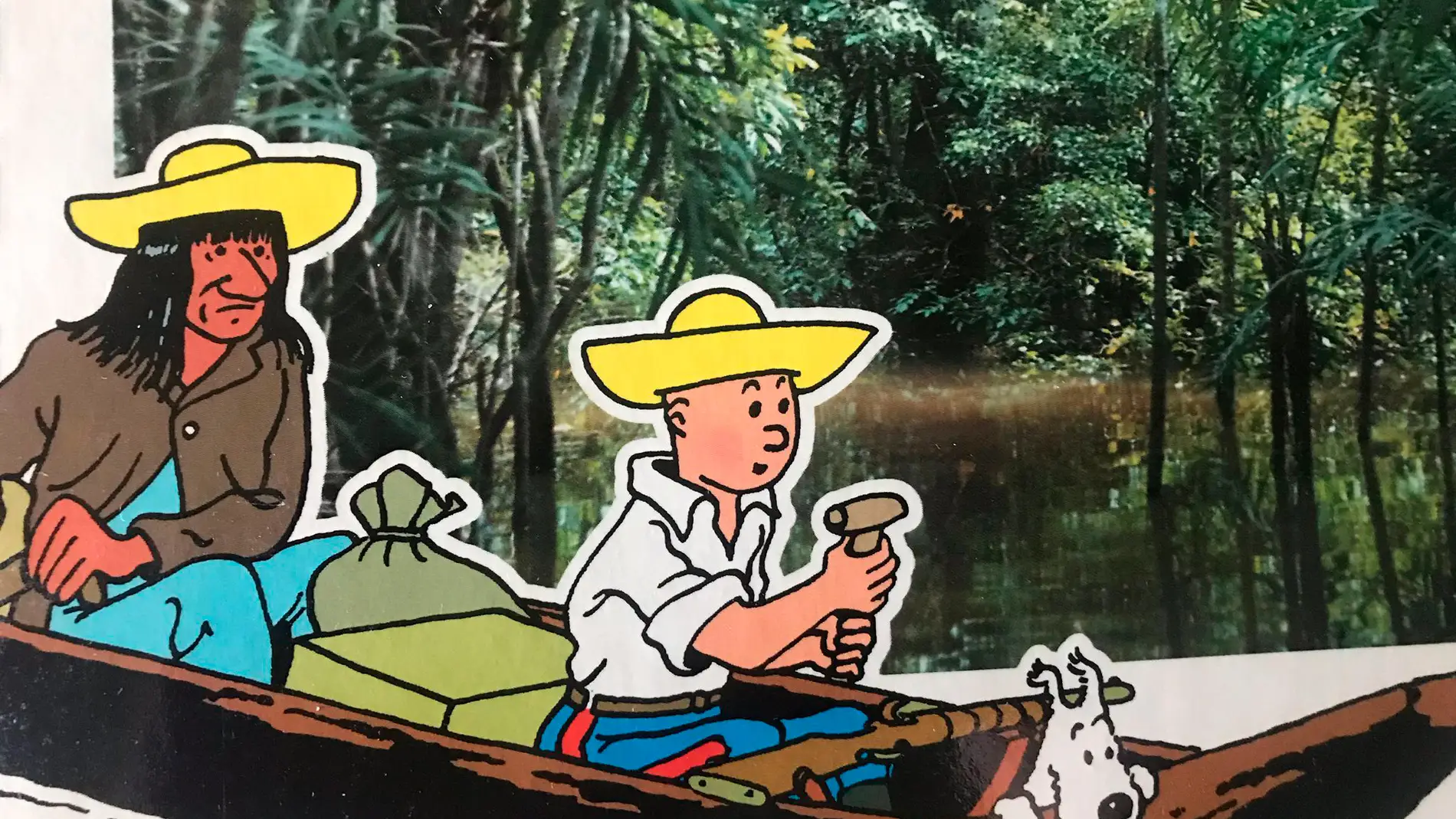 Libros de Tintin
