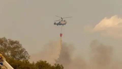 Incendio Sierra Bermeja Incendio Sierra Bermeja