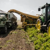 Agricultura Agricultura