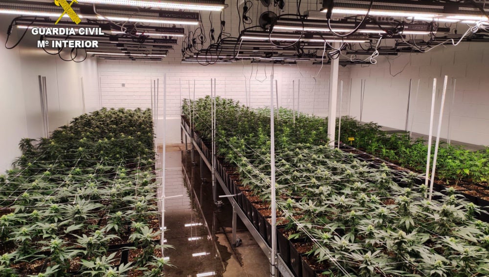 La nave contaba con una compleja instalación para el cuidado de las plantas