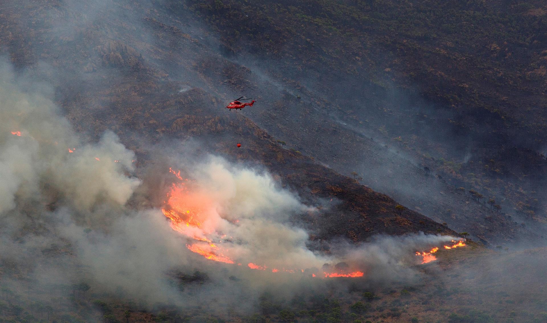 ¿Cómo prevenir incendios forestales como el de Sierra Bermeja? ¿Cómo prevenir incendios forestales como el de Sierra Bermeja?