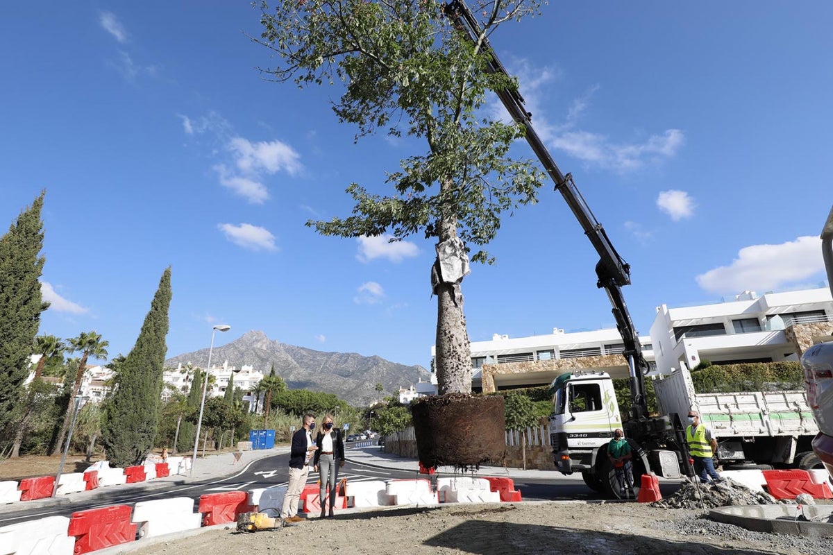 Diego López destaca que a principios de año comenzará la peatonalización de las calles del centro Diego López destaca que a principios de año comenzará la peatonalización de las calles del centro