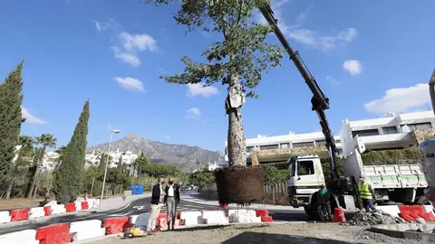 Obras Marbella Obras Marbella