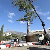 Obras Marbella Obras Marbella