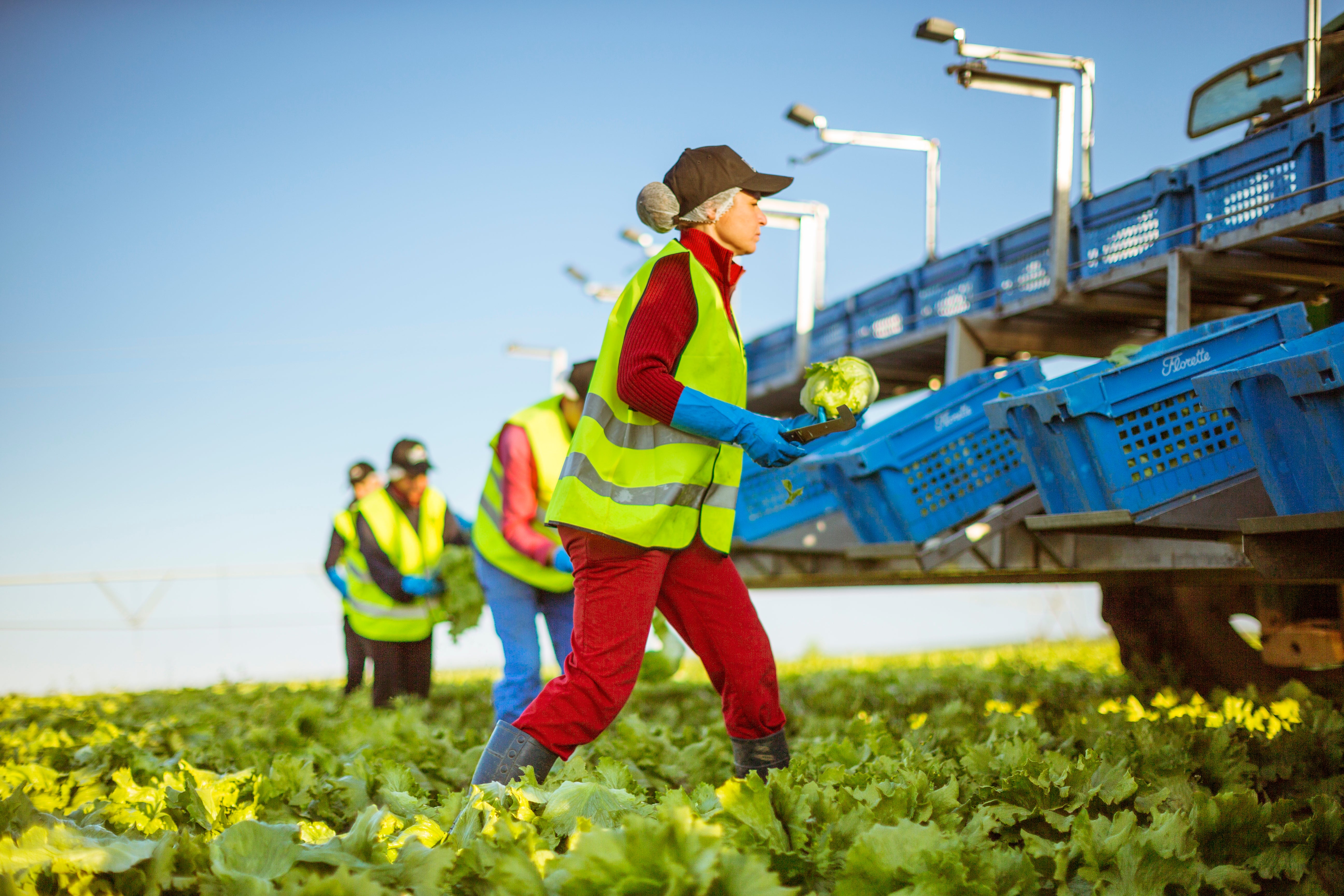 CCOO anuncia movilizaciones tras el anuncio de cierre de Florette en Iniesta CCOO anuncia movilizaciones tras el anuncio de cierre de Florette en Iniesta