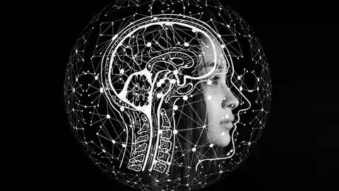 Big Van Ciencia: La inteligencia artificial abre la puerta al futuro de la medicina personalizada Big Van Ciencia: La inteligencia artificial abre la puerta al futuro de la medicina personalizada