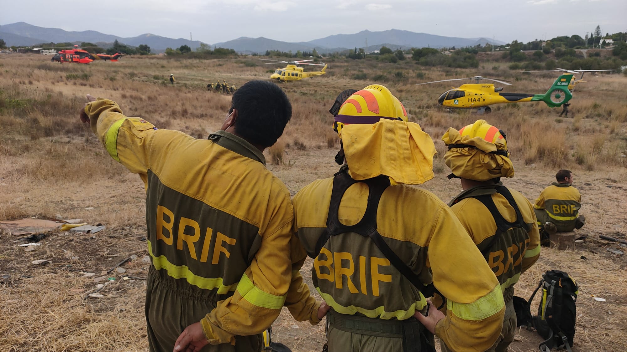 Tormenta política en torno al incendio de Sierra Bermeja Tormenta política en torno al incendio de Sierra Bermeja