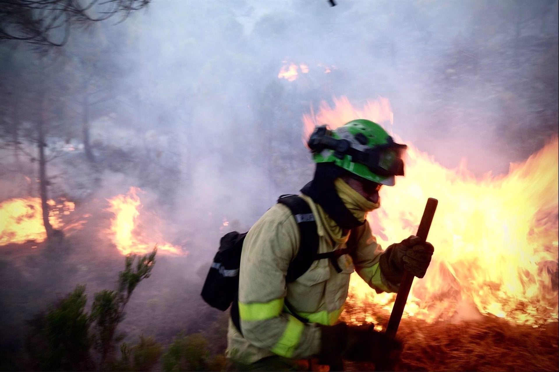 El fuego de Sierra Bermeja sigue sin control: mil efectivos trabajan a pie del incendio para extinguirlo El fuego de Sierra Bermeja sigue sin control: mil efectivos trabajan a pie del incendio para extinguirlo