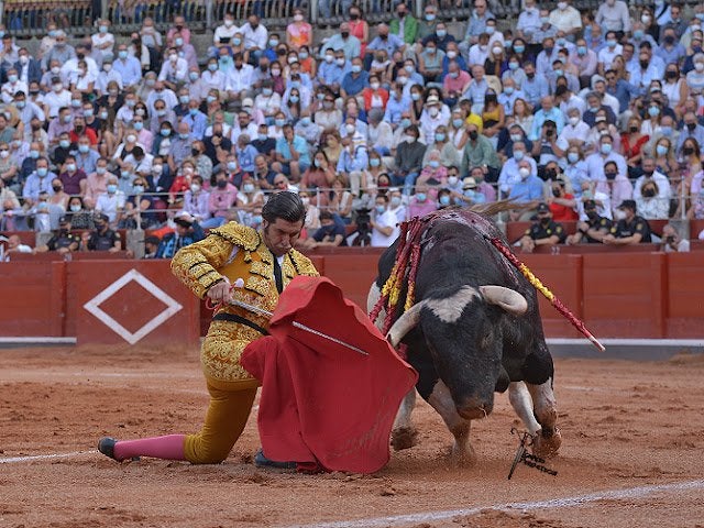 Onda Ruedo 4x01: El verano histórico de Morante de la Puebla y el resurgir de los toreros artistas Onda Ruedo 4x01: El verano histórico de Morante de la Puebla y el resurgir de los toreros artistas