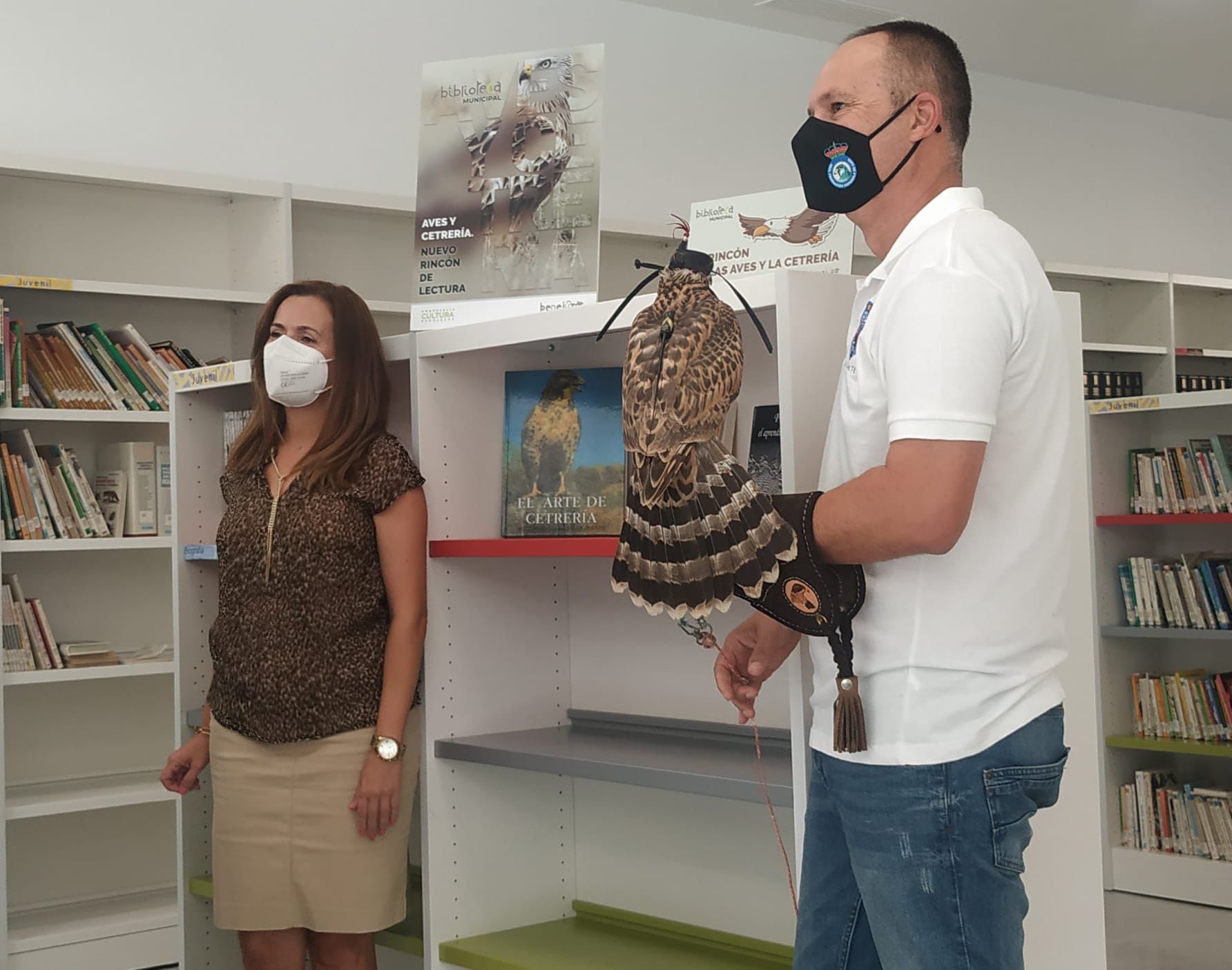 La biblioteca de Benejúzar habilita un espacio dedicado a las aves y la cetrería para conocer mejor esta actividad La biblioteca de Benejúzar habilita un espacio dedicado a las aves y la cetrería para conocer mejor esta actividad